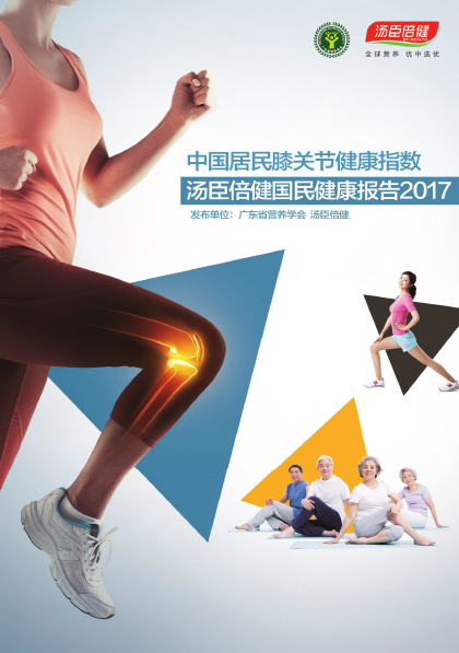 AGGAME关节指数报告[2017]