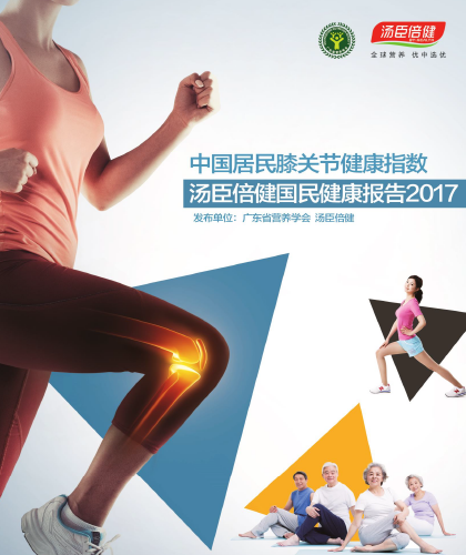 AGGAME关节指数报告[2017]